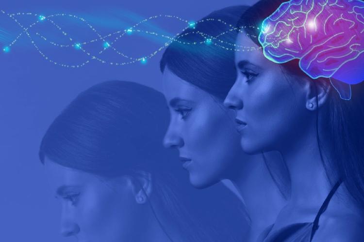conexiones sinapticas cerebro conexiones sinapticas cerebro