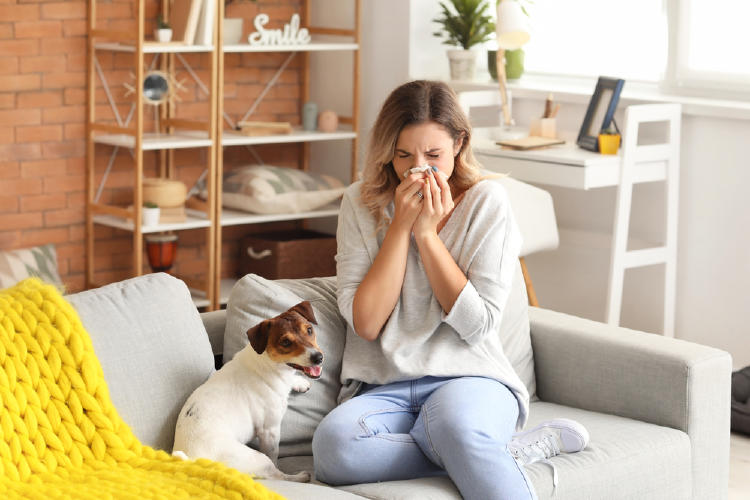 alergia al pelo animal