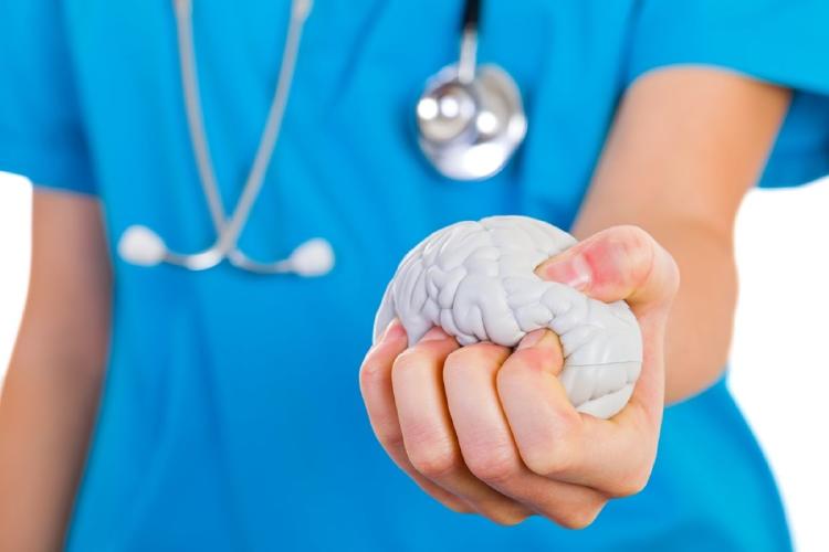 neuroplasticidad neuroplasticidad